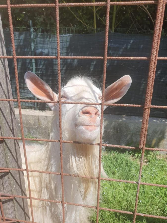 カパンノリSplendido Rustico Shabbyアパートメント エクステリア 写真
